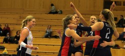 Örebro_Volley_15_Banner