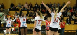 Volley_13_Banner