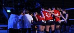Volley_14_Banner