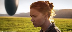 arrival_banner