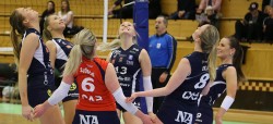 Volley_22_Banner