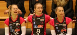 Volley_29_Banner