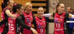 Volley_Banner_5