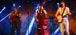 Steve-n-Seagulls-Banner