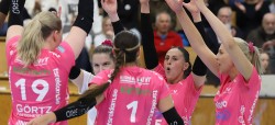 Volley_Banner_47