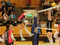 Örebro_Volley_15