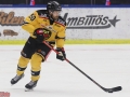 Örebro_Hockey_10