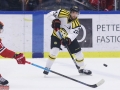 Örebro_Hockey_07