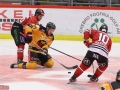 Örebro_Hockey_05