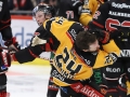 Örebro_Hockey_09