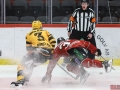 Örebro_Hockey_06