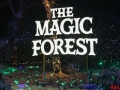 The-Magic-Forest-03