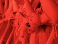 4-IMG_2690
